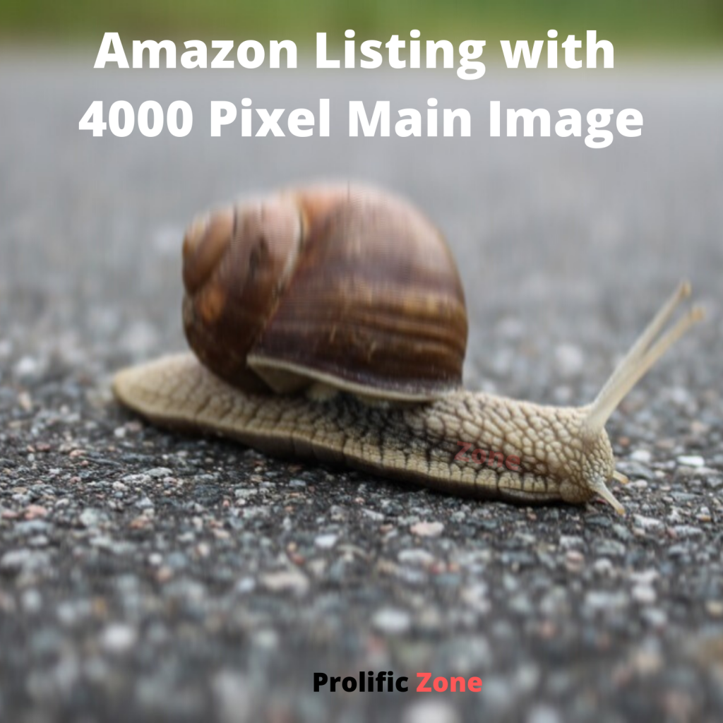 Amazon Listing with 4000 Pixel Main Image